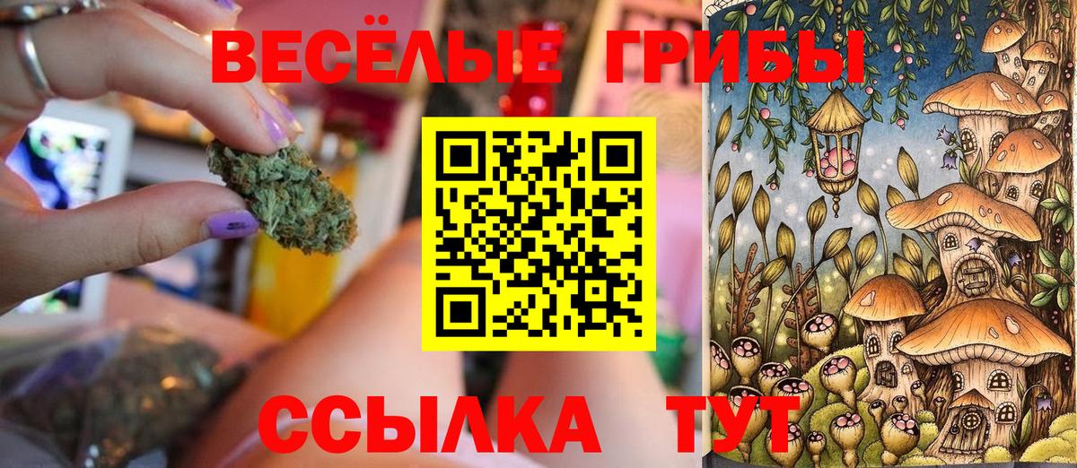 Фрязино  Галлюциногенные грибы ЛСД  купить наркоту  Галлюциногенные грибы GOLDEN TEACHER  Вход с VPN 