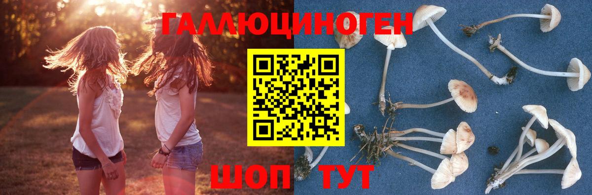 Псилоцибиновые грибы прущие грибы Фрязино